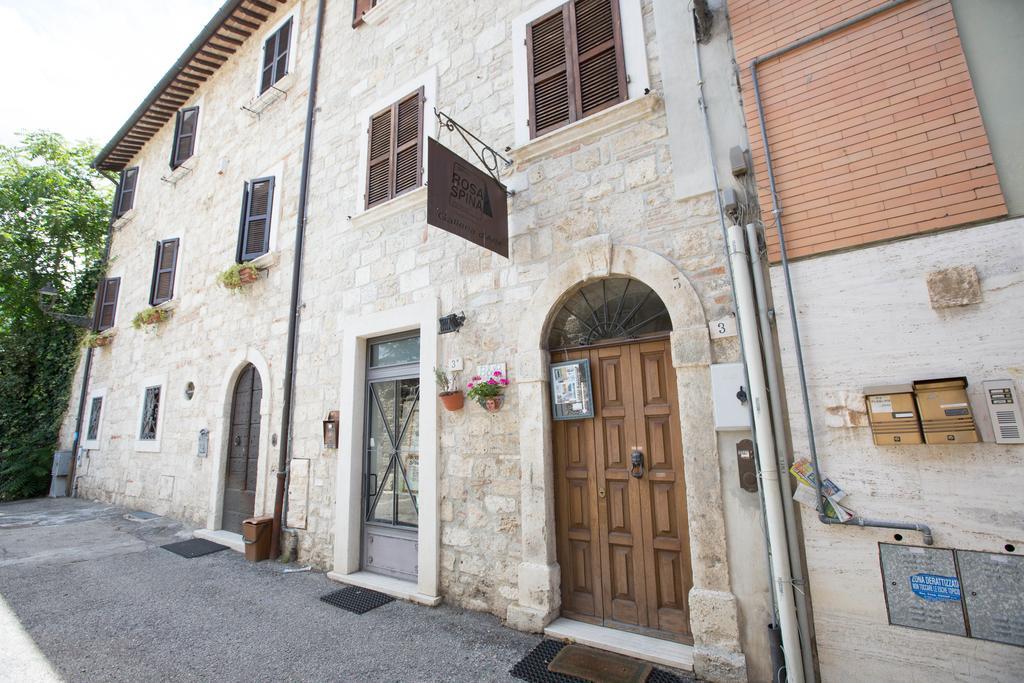 B&B Rosaspina Ascoli Piceno Eksteriør bilde